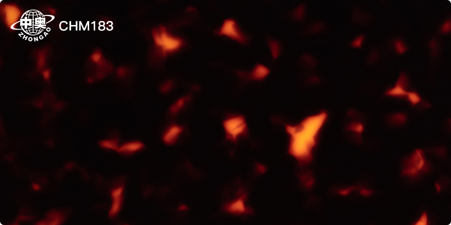 CHM183