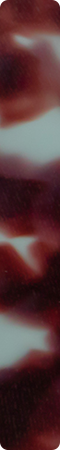 CHMF0055