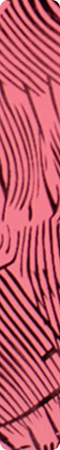 CHN723