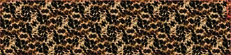 CHG0921