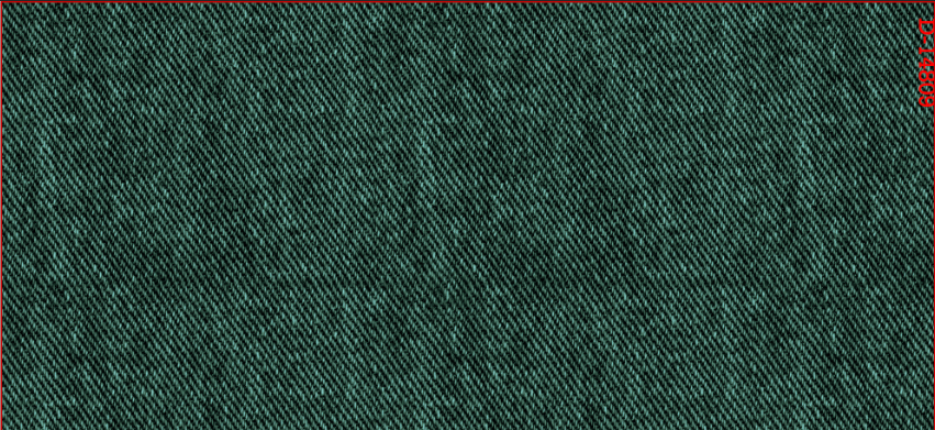 CHG13206