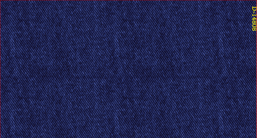 CHG13205
