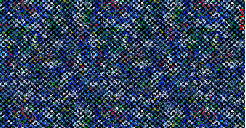 CHG13132