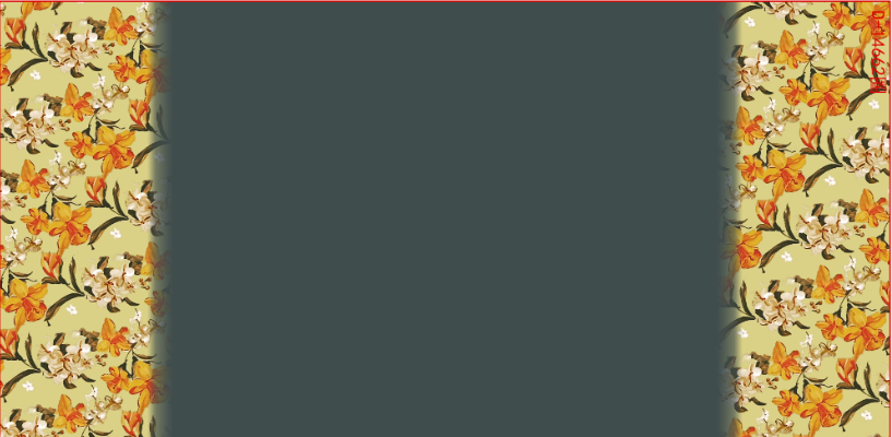 CHG13041