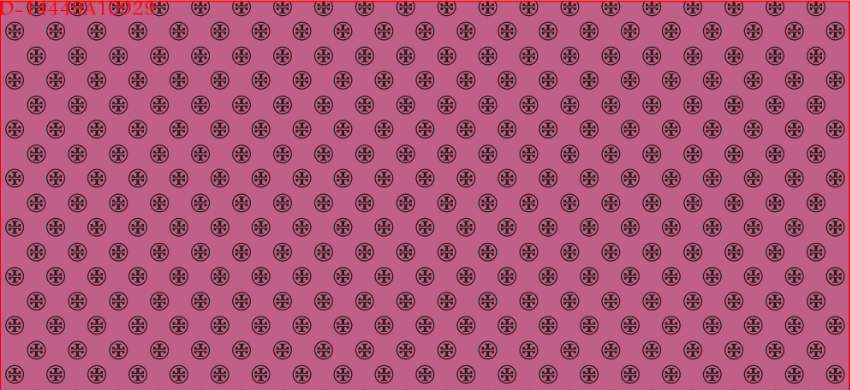 CHG12813