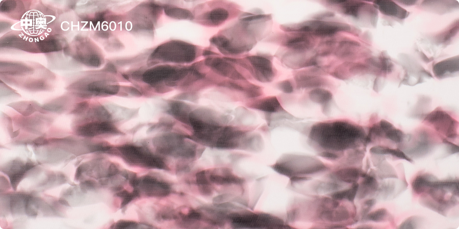 CHZM6010