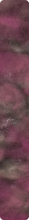 CHZM6005