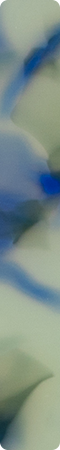 CHMF4004