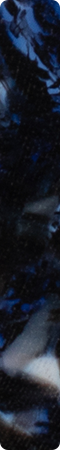 CHMF3010