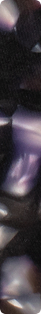 CHMF0002