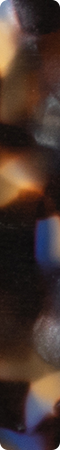 CHMF0025