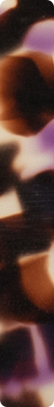 CHMF0019