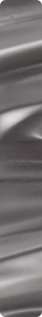 CHZW007