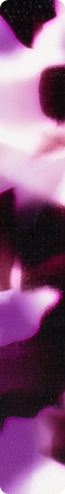 CHZX001
