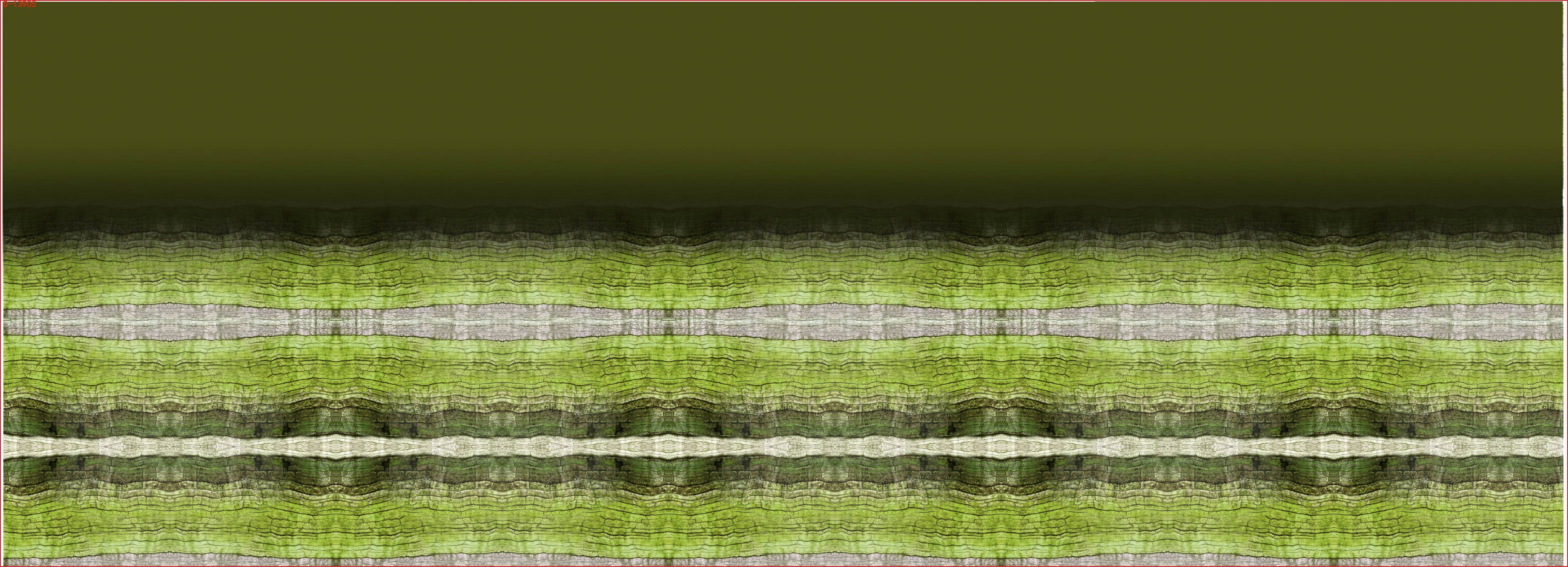CHG12169