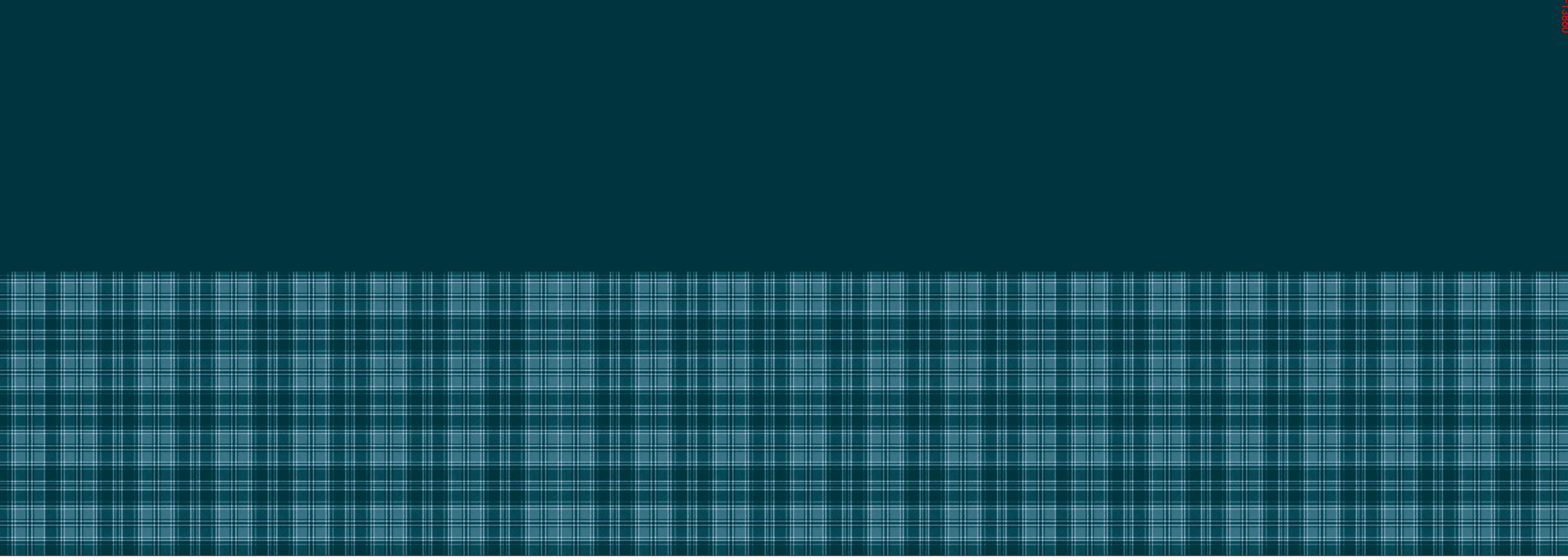CHG12113