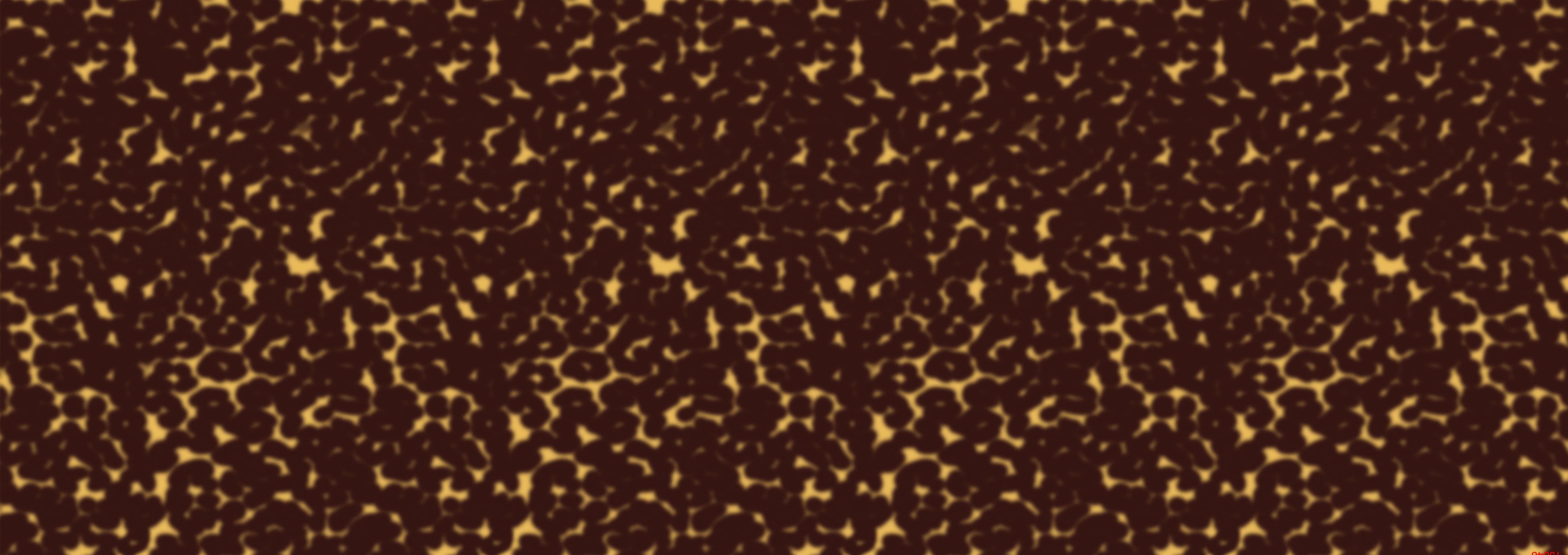 CHG12097