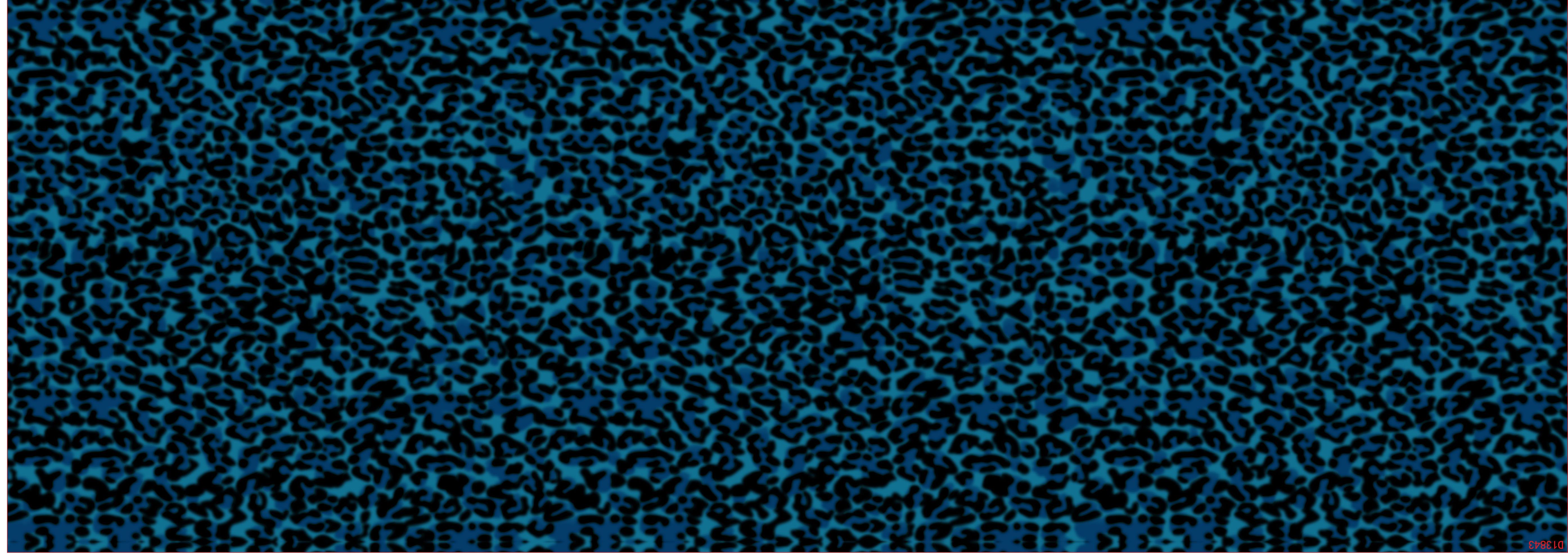 CHG12094