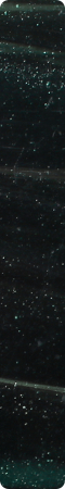 CHR1305