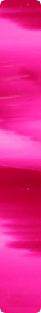 CHR2006