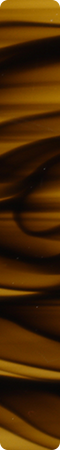 CHR4003