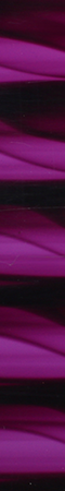CHR4005