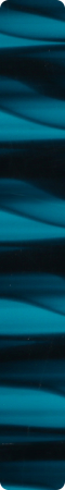CHR4006