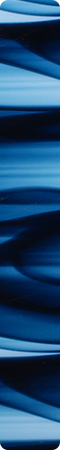 CHR4021