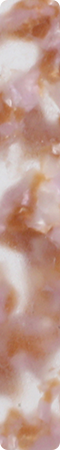 CHZS0011