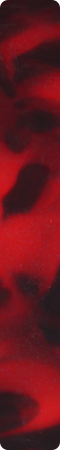CH3AA205