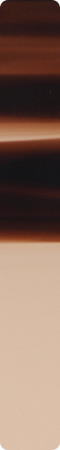 CHP1005