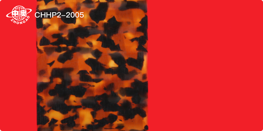 CHHP2-2005