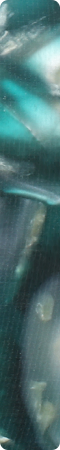 CHZD1504