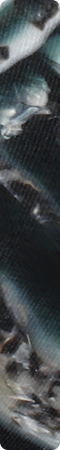 CHZD1505