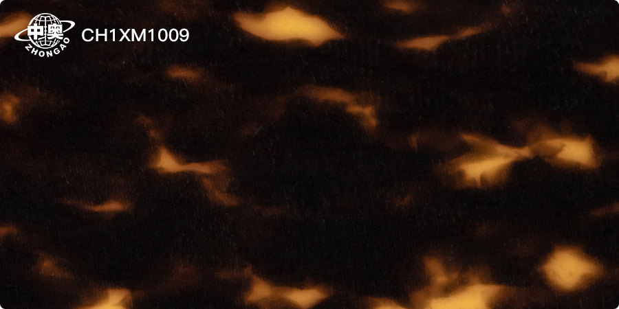 CH1XM1009