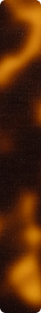 CHHJ047