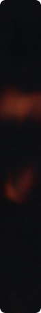 CH3AA203