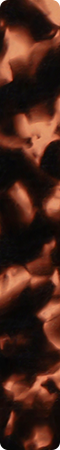 CHM806