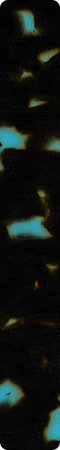 CHM808