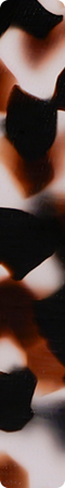 CHM839