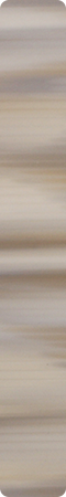 CHR1610