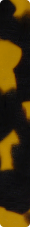 CHM345