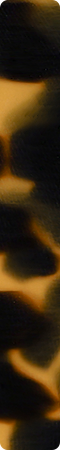 CHM458