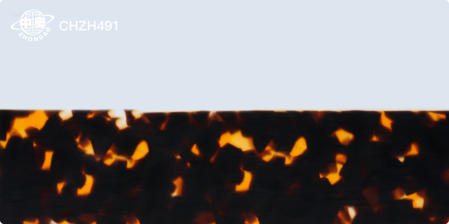 CHZH491