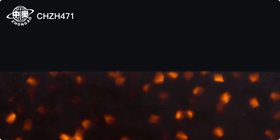 CHZH471
