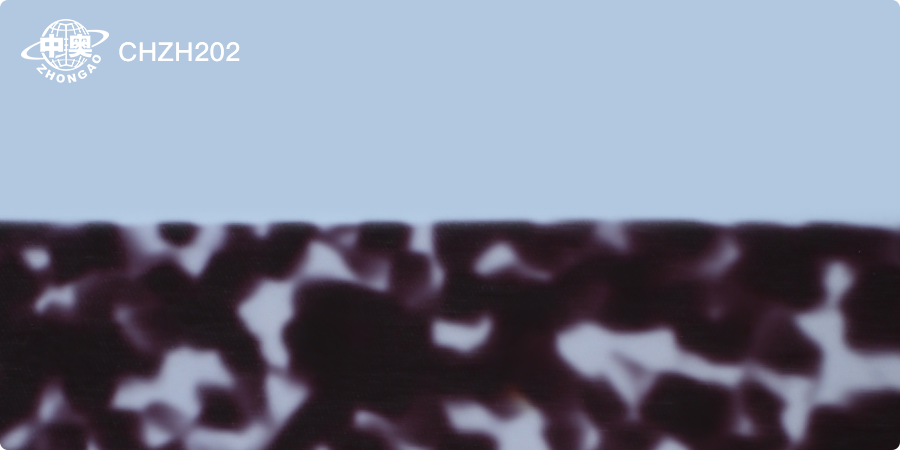 CHZH202
