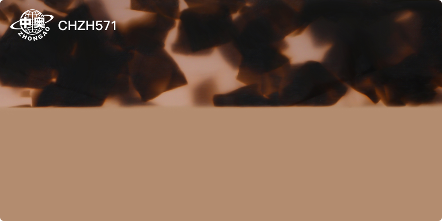 CHZH571