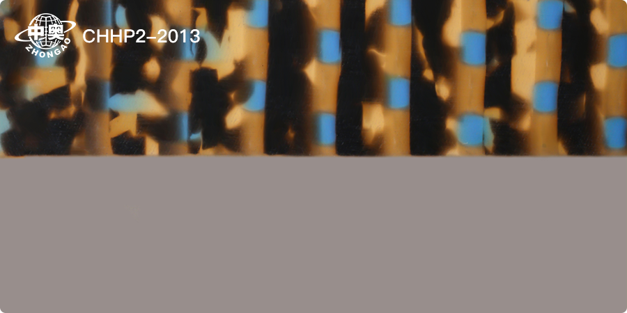 CHHP2-2013