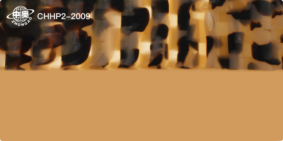 CHHP2-2010
